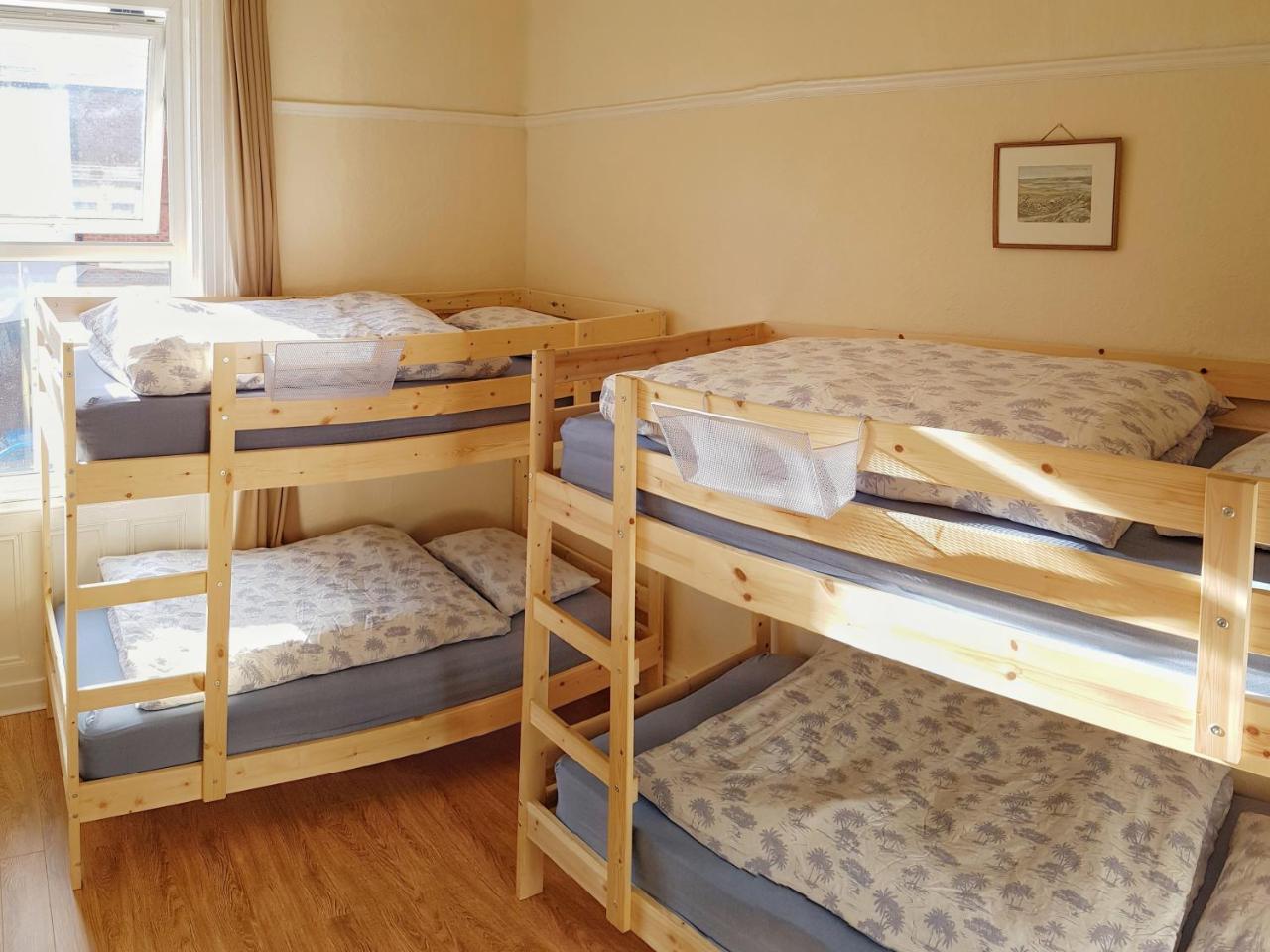 Botanical Backpackers Белфаст Екстер'єр фото